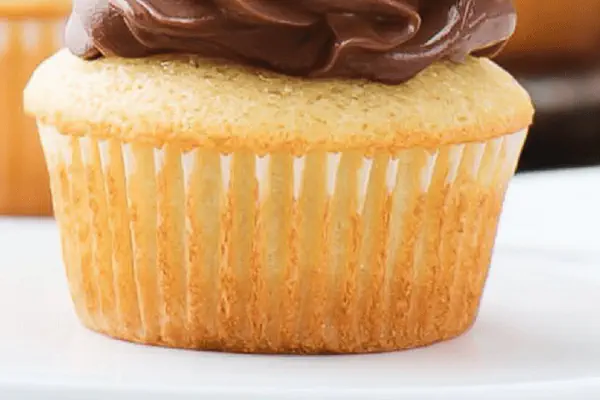 Chunky Chocolate Chip Shortbread