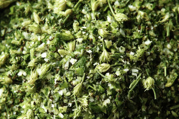 Earthy Truffle Aioli